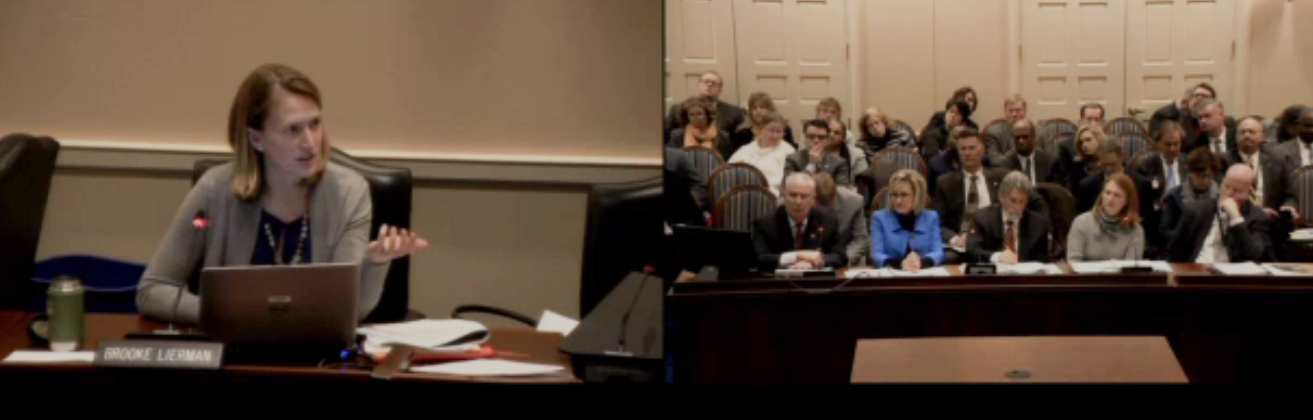 Delegate Lierman at the February 8th hearing on Maryland Historic Trust budget.