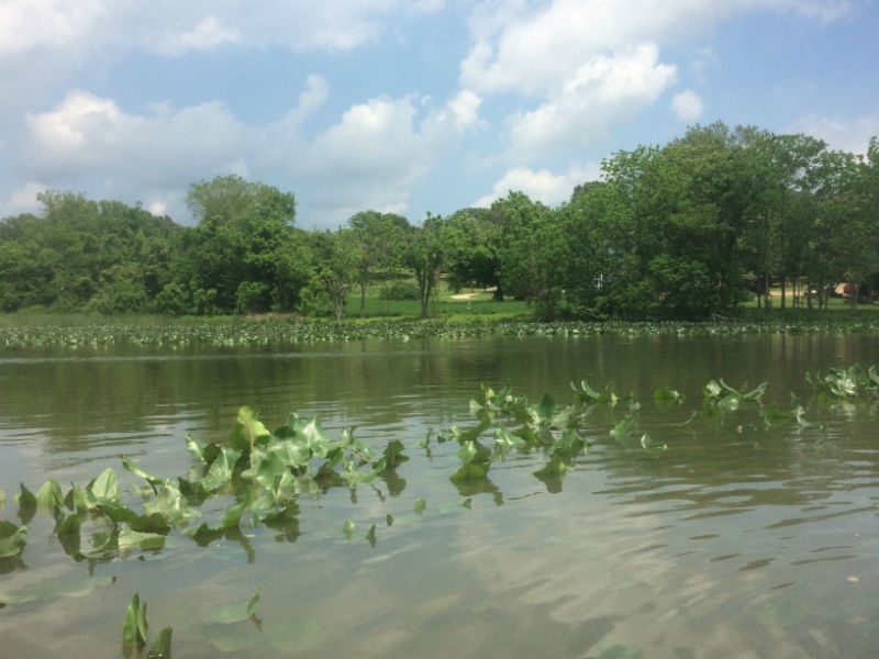 Pig Point from the Puxent River.