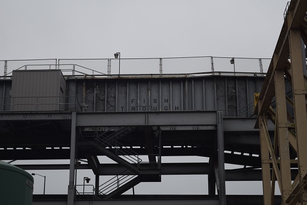 Image of the Conowingo Dam, a hydroelectric dam in the lower Susquehanna River situated between Cecil and Howard counties