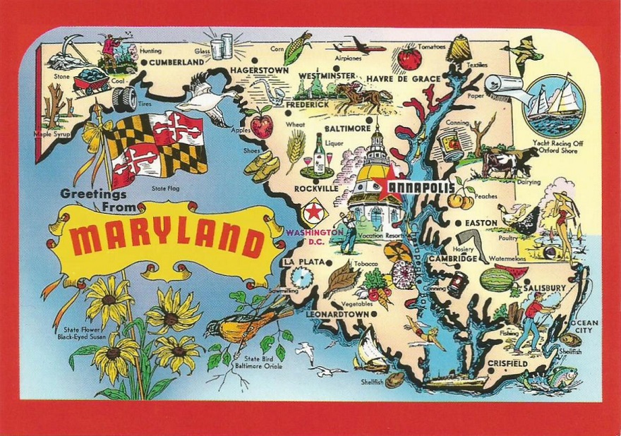 Postcard Reading "Greetings From MD"