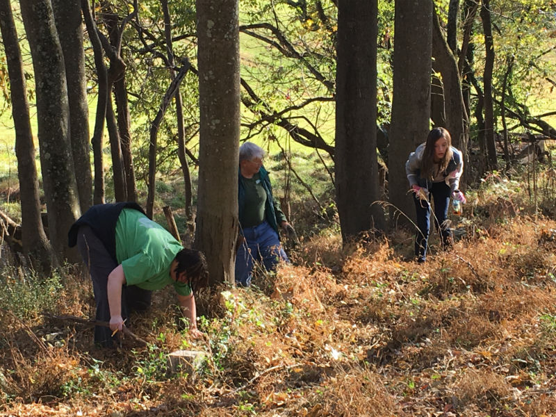 Image showing Volunteers at Oella Cemetery.