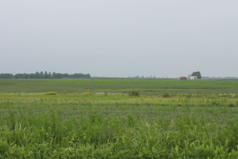 image of landscape in kent county md