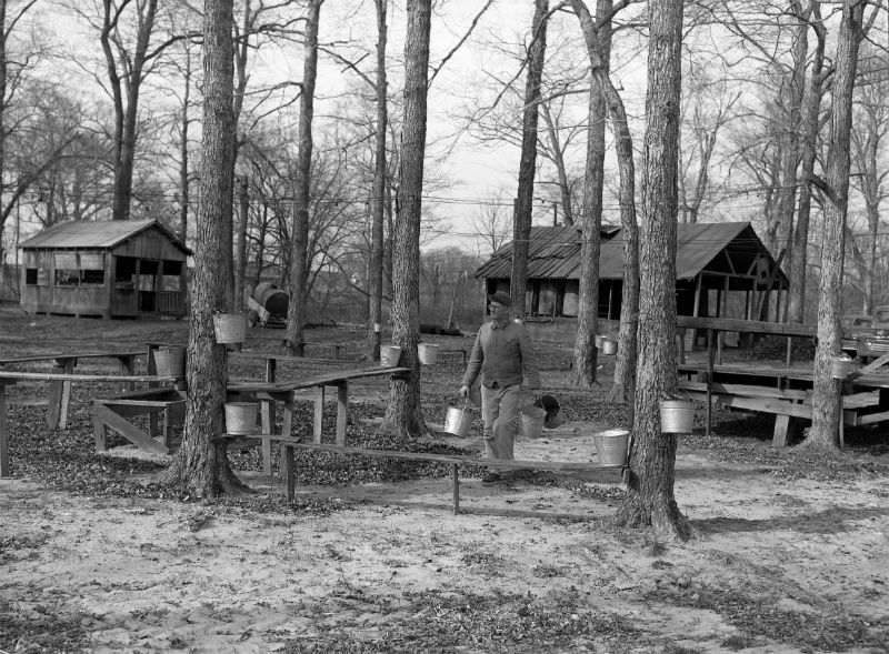 National Maple Syrup Day in Maryland