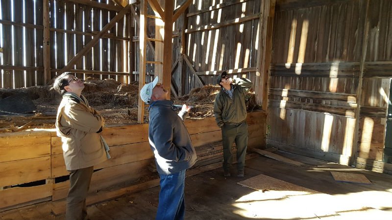 Shafer Farm barn, 2016.