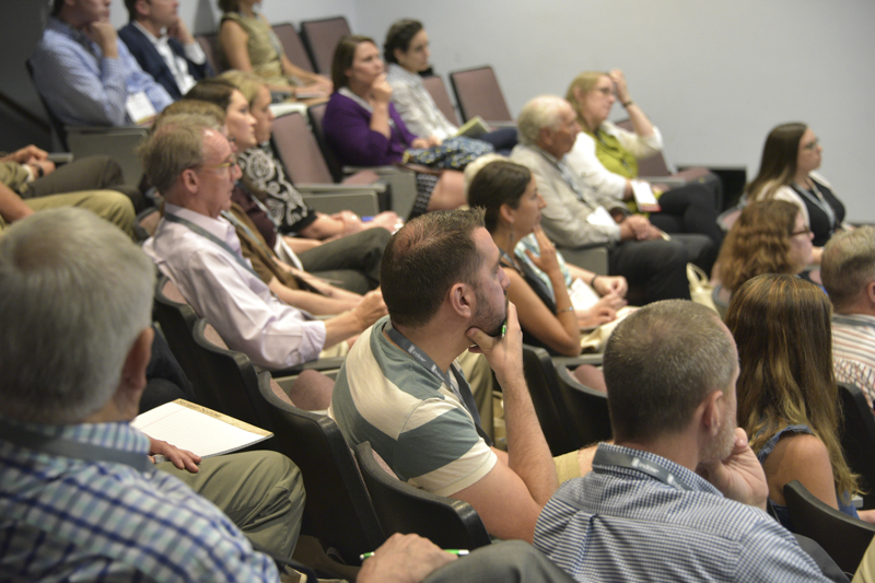 Audience at Summit, 2017