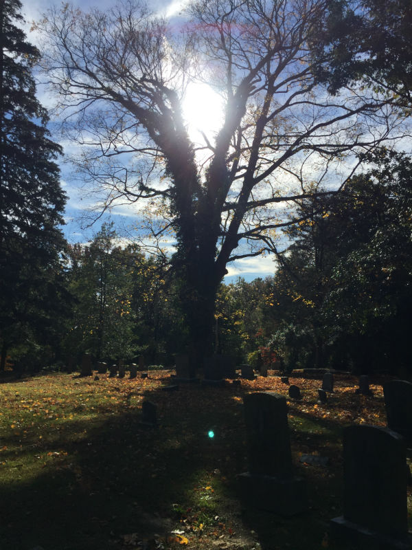 St. Paul's Church Cemetery, Kent County, MD, 2017.