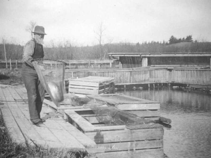 fisherman-antietam-maryland-CREDIT-washington-county-historical-society-800