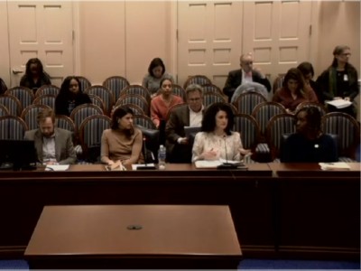 Preservation Maryland Director of Advocacy Elly Cowan at a hearing for HB862 in Annapolis, MD, 2020.