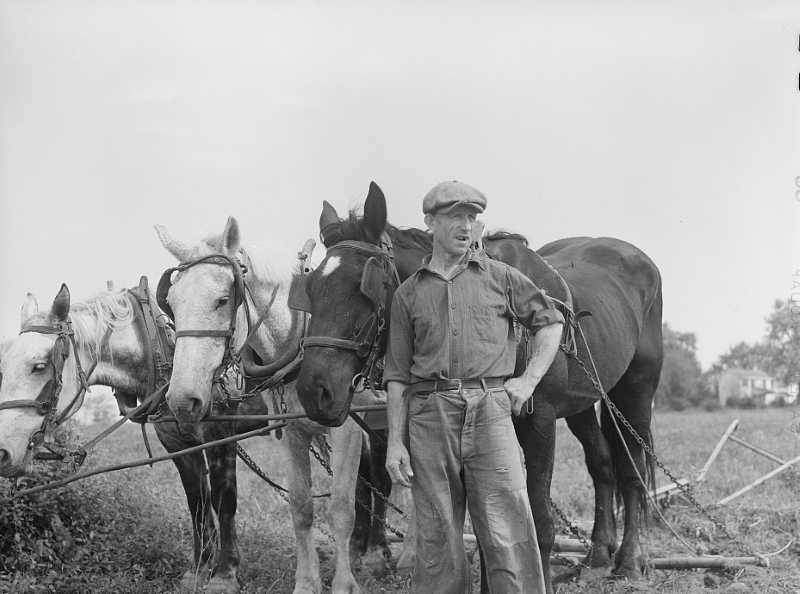 Farmer and team near Frederick, Maryland, 1940. Photo from the Library of Congress.