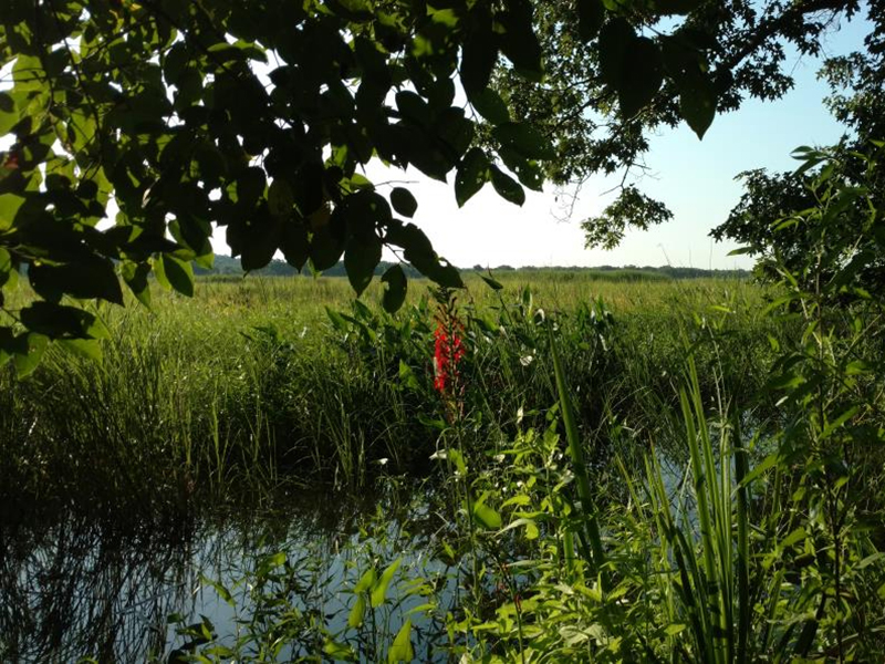 Preservation Maryland Smart Growth Victory Charles County S Zekiah Swamp Rural Legacy Area Exands Significantly