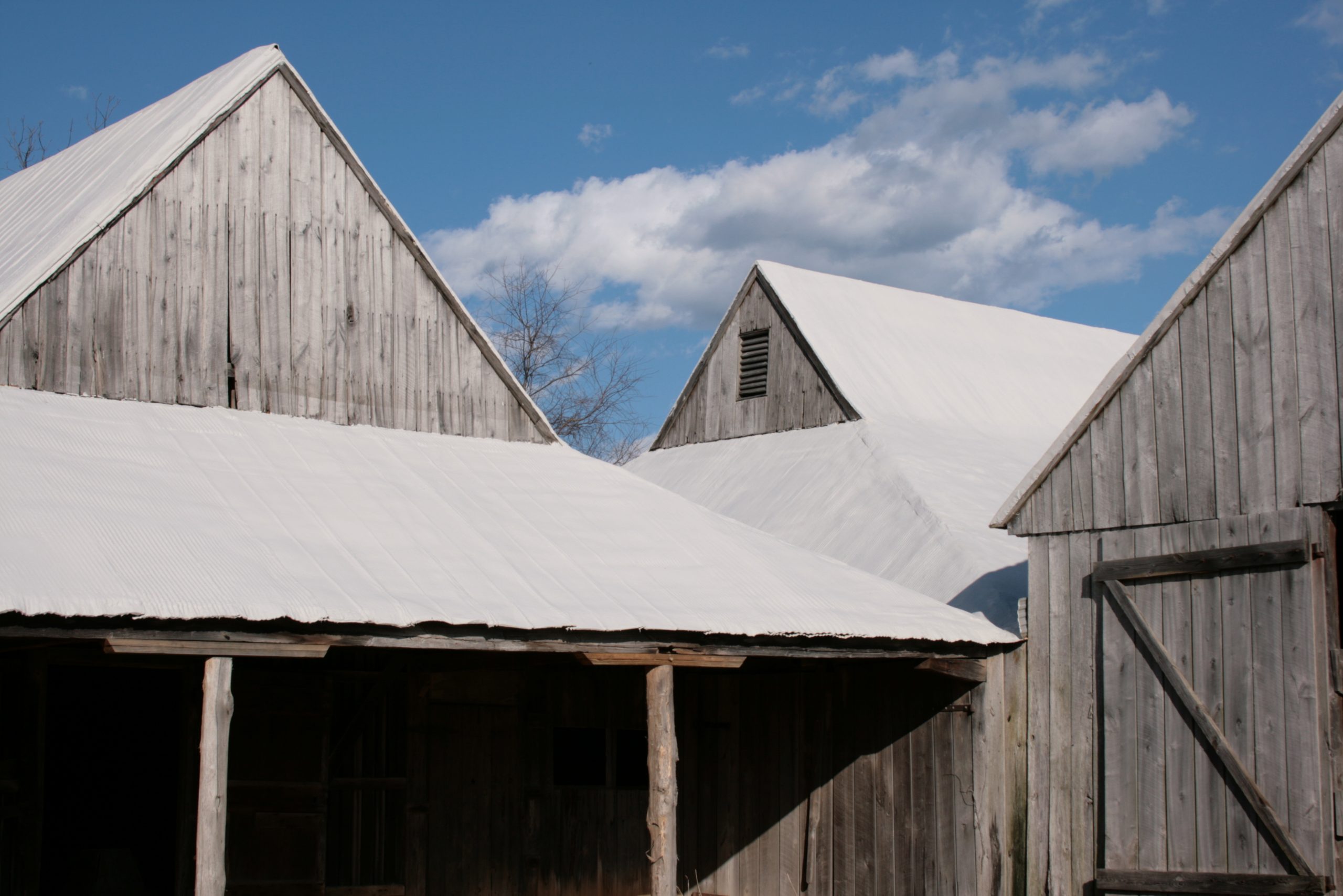 An image of the Bond-Simms Barn. The complex was constructed over 50 years starting sometime between 1835 and 1845.