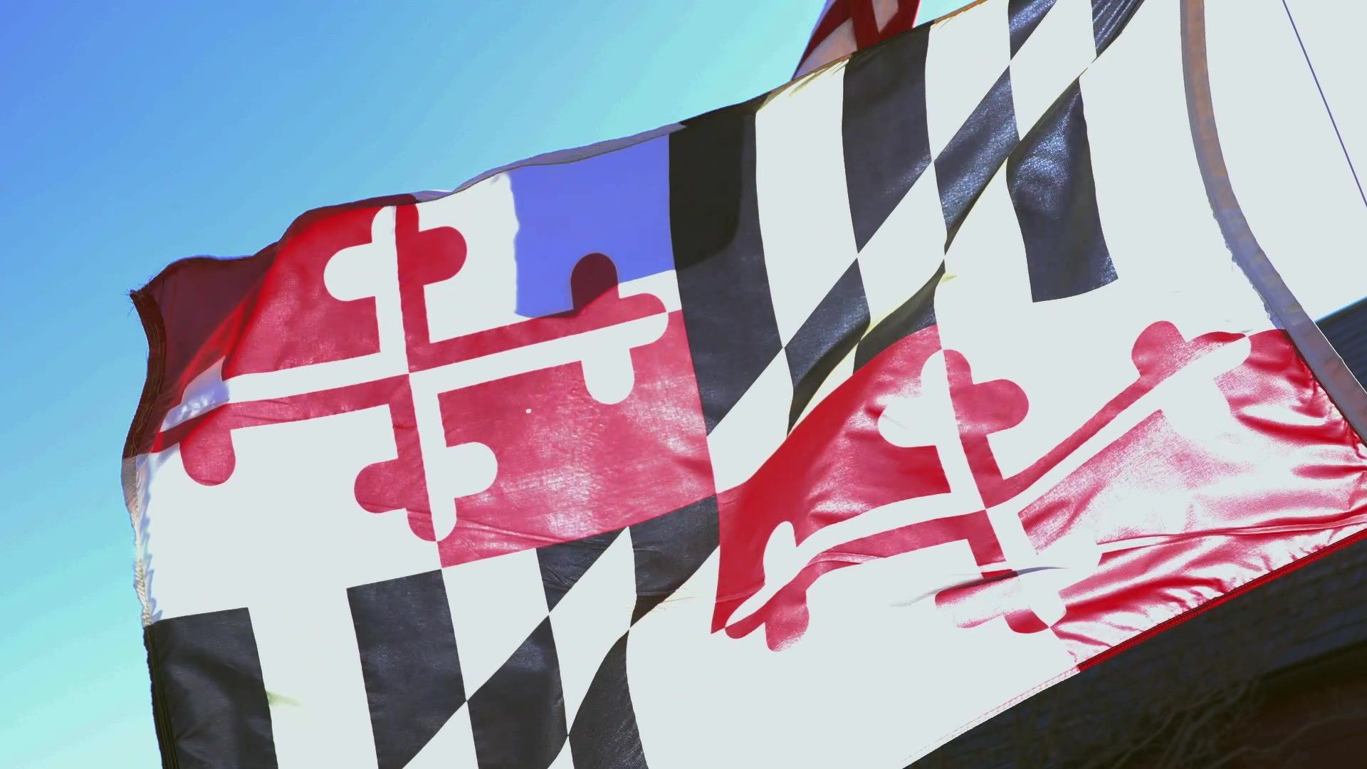 Maryland Flag