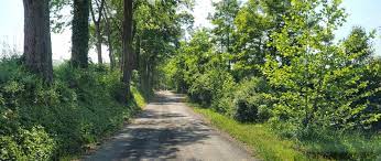 Preservation News: Frederick County to Develop Rustic Roads Program