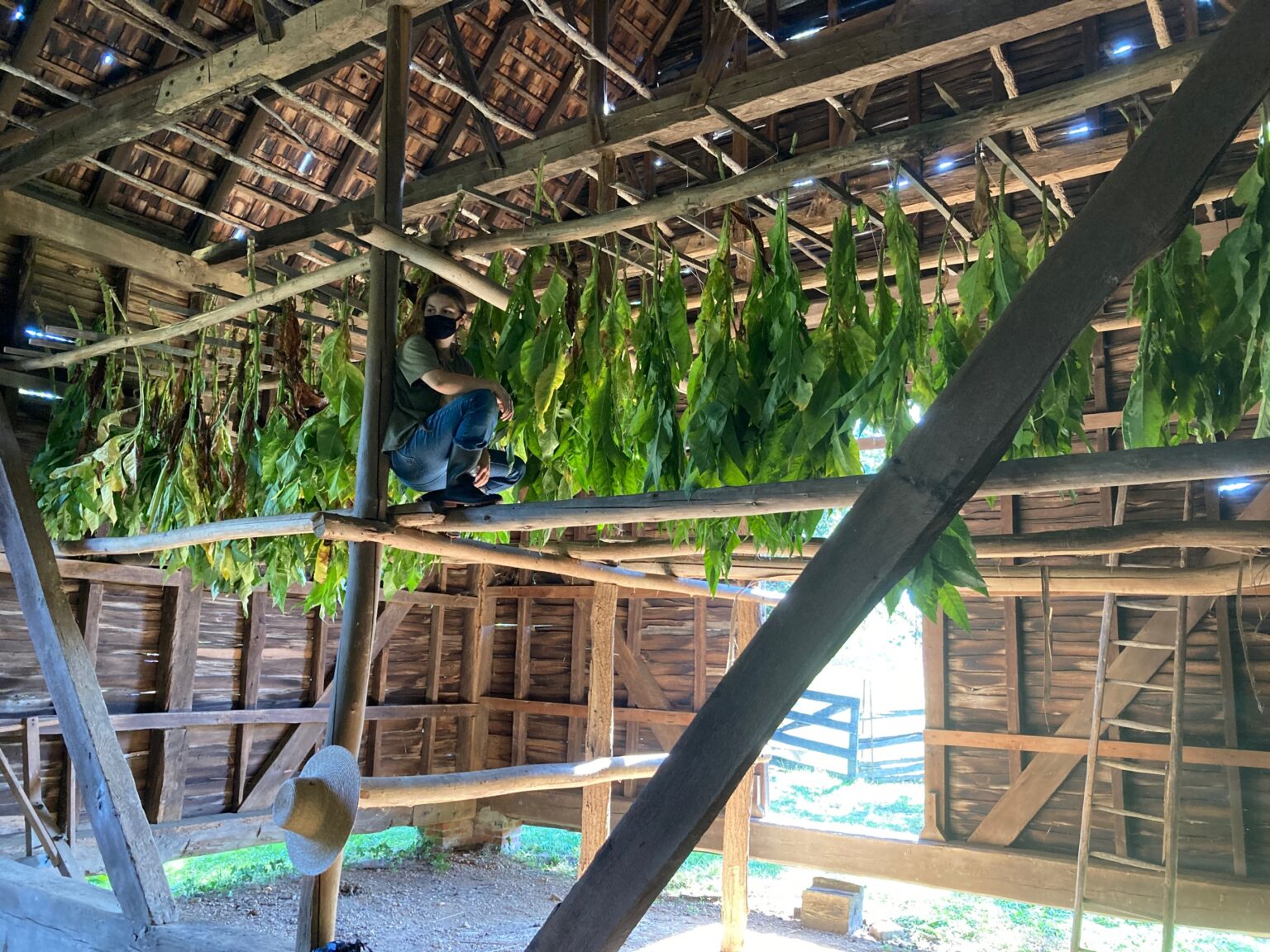 Stabilization of the historic porch roof and deck at Shafer Farm, 2017.