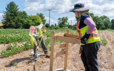 Community Archaeology @ Herring Run Park