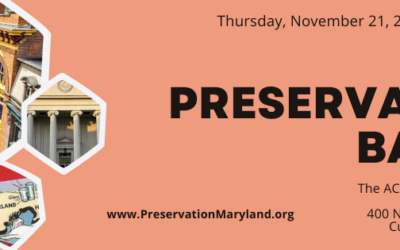 Preservation Basics in Allegany County