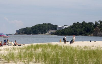 The Data Center Debate in Maryland: Policy, Infrastructure, and Preservation Impacts