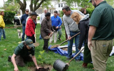 Check in on the Maryland Liberty Tree Project
