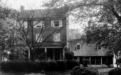 Knocks Folly Rehabilitation Project Underway at Turner’s Creek