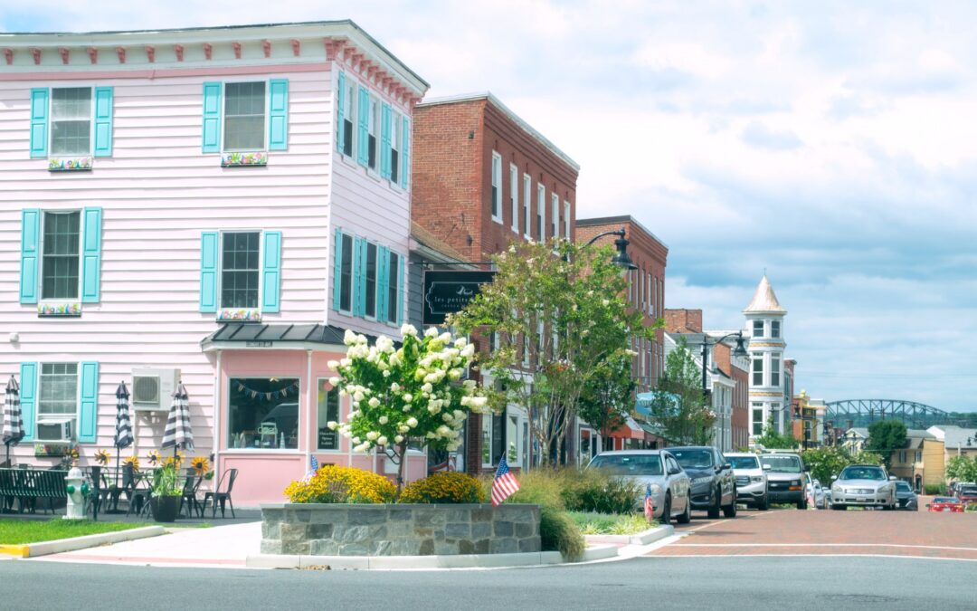 Your Voice Matters: Stand up for Preservation
