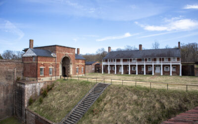 Your Voice Matters: Stand up for Preservation